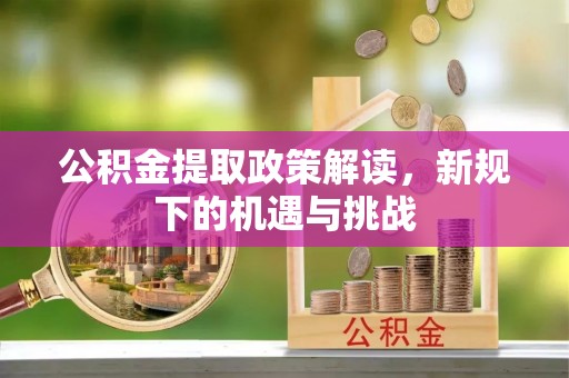 龙泉公积金提取政策解读，新规下的机遇与挑战