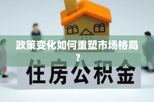 龙泉政策变化如何重塑市场格局？