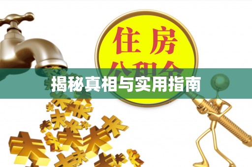 龙泉揭秘真相与实用指南