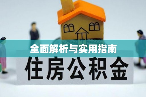 龙泉全面解析与实用指南
