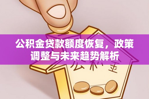 龙泉公积金贷款额度恢复，政策调整与未来趋势解析