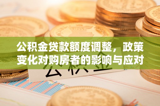 龙泉公积金贷款额度调整，政策变化对购房者的影响与应对策略