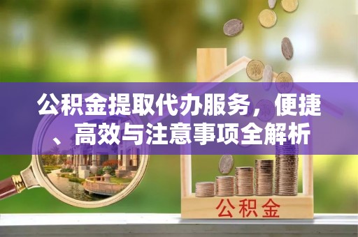 龙泉公积金提取代办服务，便捷、高效与注意事项全解析