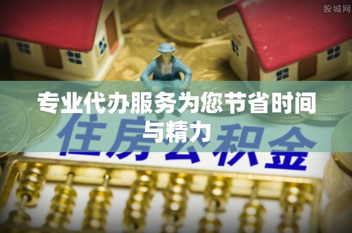 龙泉专业代办服务为您节省时间与精力