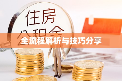 龙泉全流程解析与技巧分享